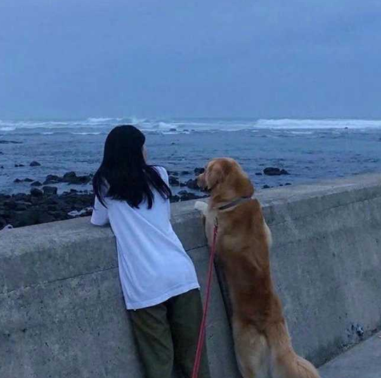 1樓頭像