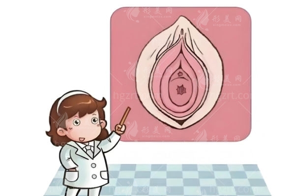 半島熱瑪吉可以做私密緊縮:深度分析和盆底肌治療儀/少女針的區(qū)別