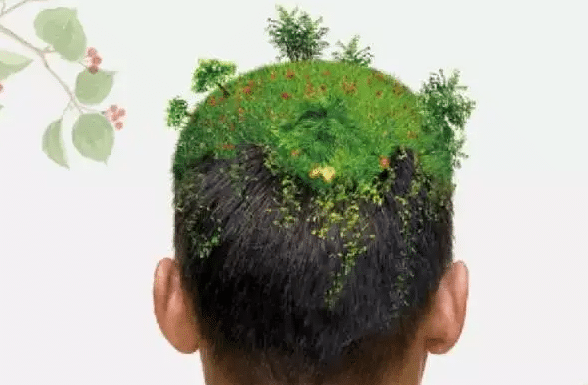 植發(fā)