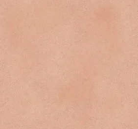皮膚