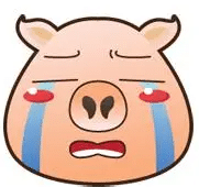 朝天鼻
