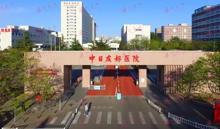 中日友好醫(yī)院路會醫(yī)生個人簡介