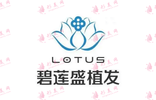 武漢碧蓮盛植發(fā)