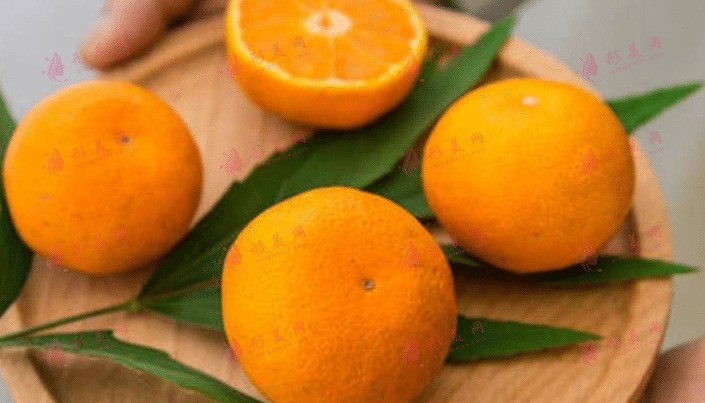 橘子 橘子