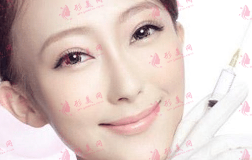 輪廓針