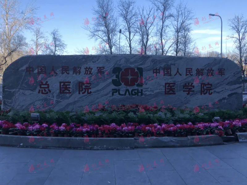 北京301醫(yī)院整形外科