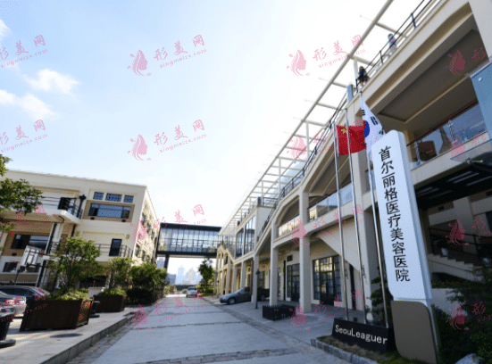 上海首爾麗格醫(yī)療美容醫(yī)院
