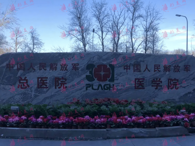 北京301醫(yī)院整形#給你二次變美機會，私人訂制模板~