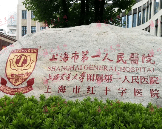 上海市第一人民醫(yī)院整形外科