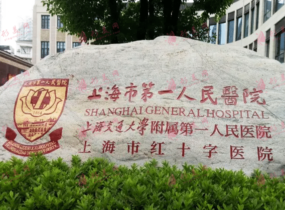 上海市第一醫(yī)院整形外科
