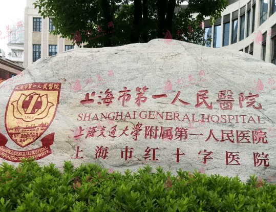 上海第一醫(yī)院整形外科