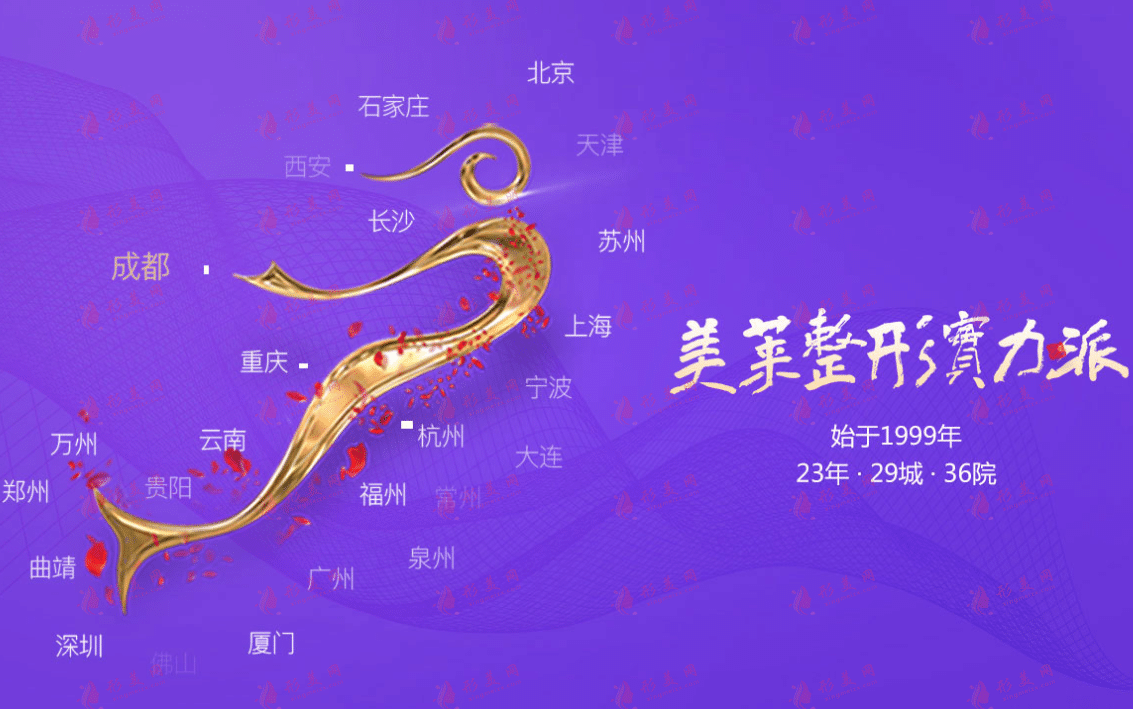 美萊醫(yī)療美容(包括華美)