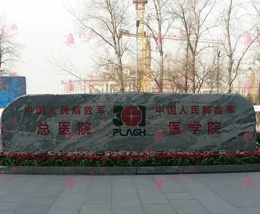 北京301醫(yī)院整形科
