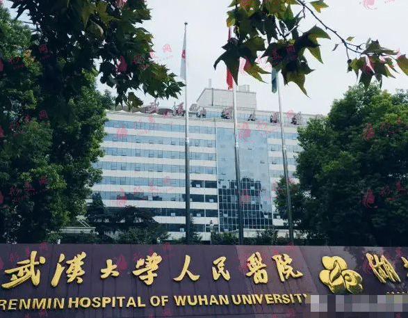 武漢大學(xué)人民醫(yī)院植發(fā)科 武漢大學(xué)人民醫(yī)院植發(fā)科