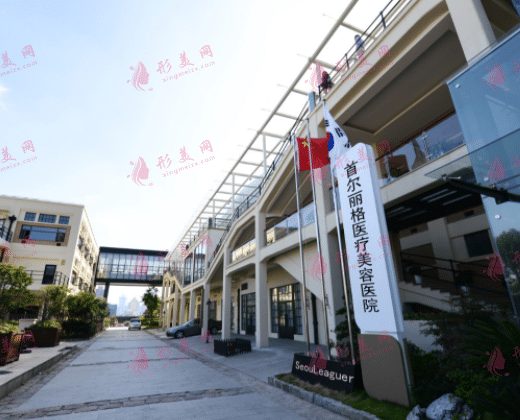 上海首爾麗格醫(yī)療美容醫(yī)院