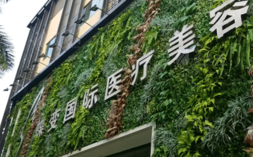 貴陽(yáng)蝶變醫(yī)療美容醫(yī)院