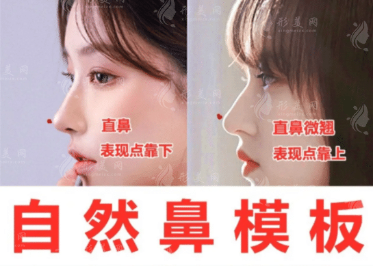 北京整形醫(yī)院隆鼻哪里好？多少錢？