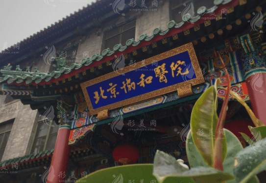 北京協和醫(yī)院整形科