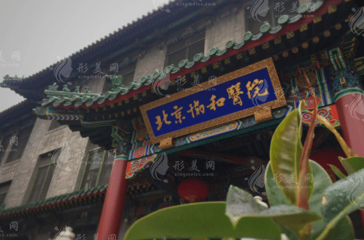 北京協(xié)和醫(yī)院整形外科