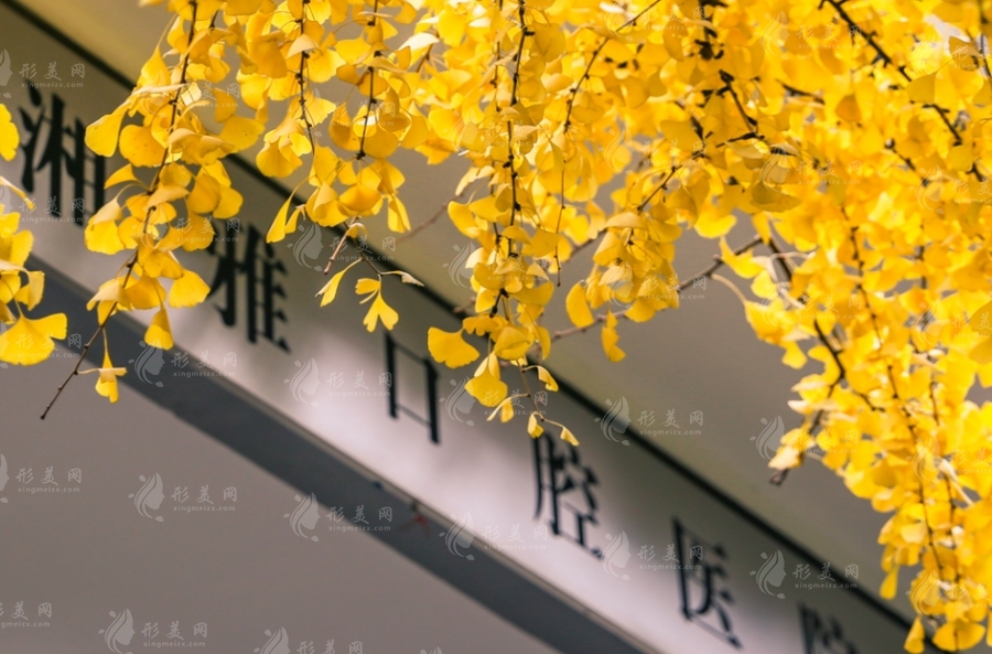湘雅醫(yī)院口腔醫(yī)學(xué)中心