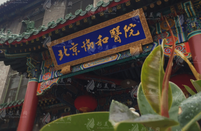 中國(guó)醫(yī)學(xué)科學(xué)院北京協(xié)和醫(yī)院整形外科