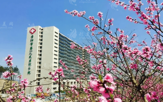 貴陽市第一人民醫(yī)院整形科