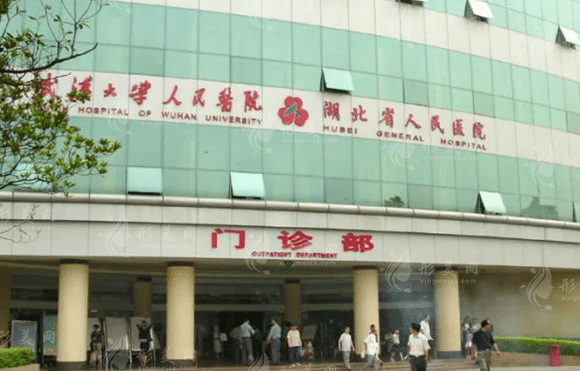 武漢大學(xué)人民醫(yī)院整形美容科 武漢大學(xué)人民醫(yī)院整形美容科
