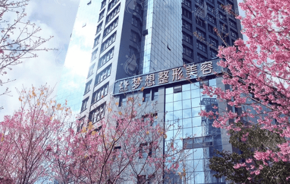 昆明夢(mèng)想醫(yī)療美容醫(yī)院