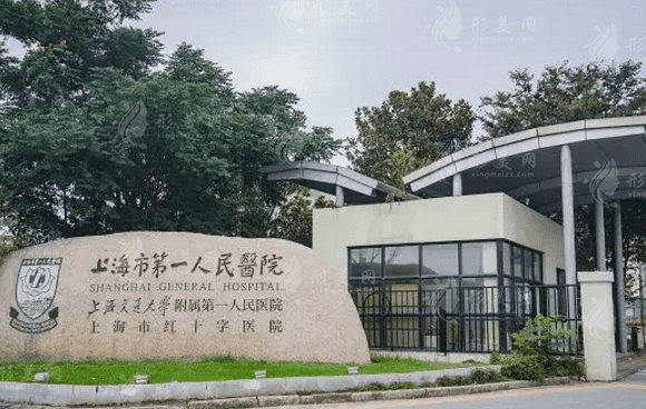 上海市第一人民醫(yī)院整形外科