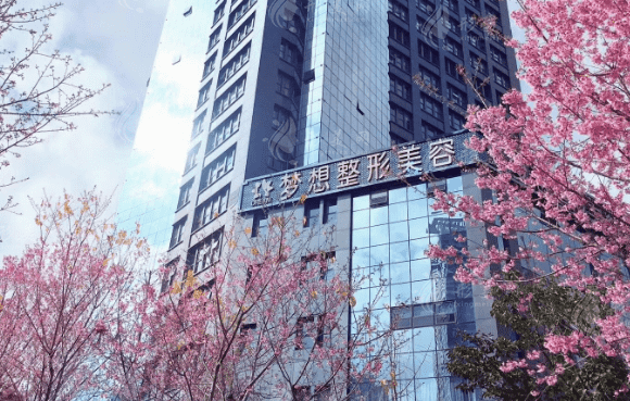 昆明夢(mèng)想醫(yī)療美容醫(yī)院