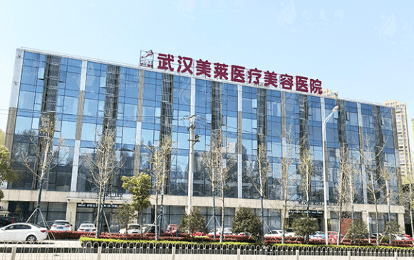 武漢美萊醫(yī)療美容醫(yī)