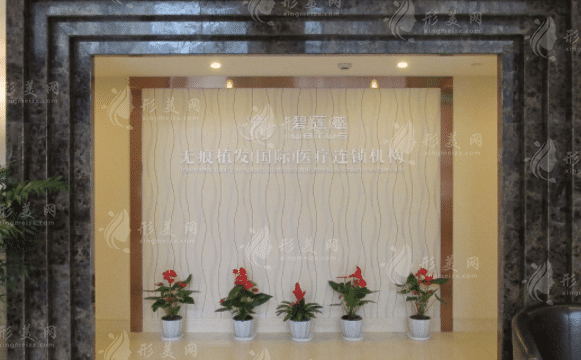 上海碧蓮盛植發(fā)