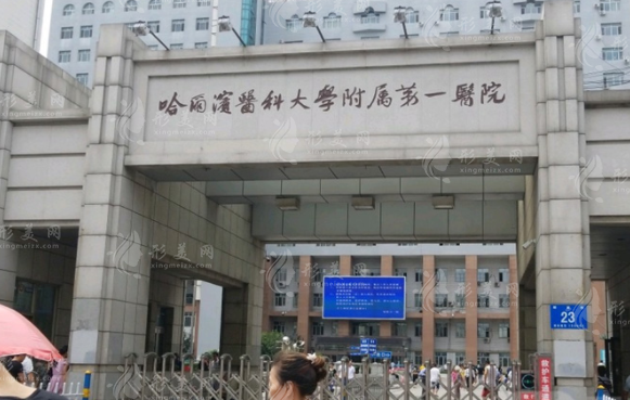 哈爾濱醫(yī)科大學附屬第一醫(yī)院