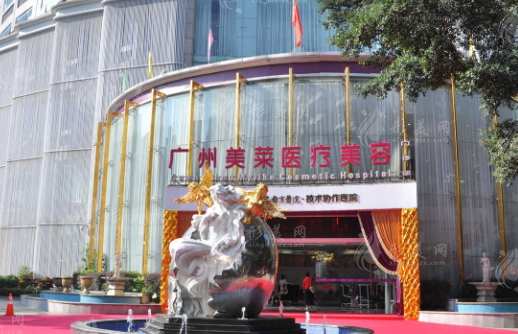 廣州美萊醫(yī)療美容門診部