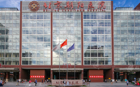 北京朝陽醫(yī)院整形外科