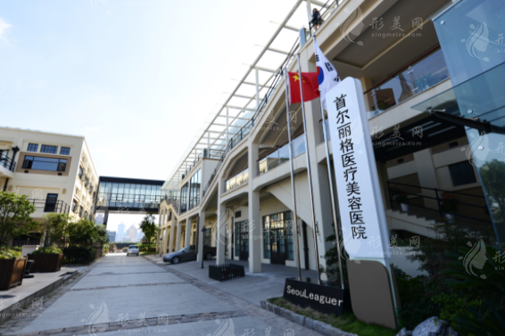 上海首爾麗格醫(yī)療美容醫(yī)院