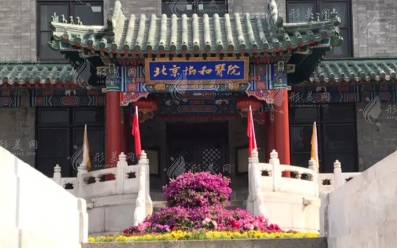 北京協(xié)和醫(yī)院整形外科