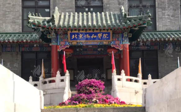 北京協(xié)和醫(yī)院整形外科