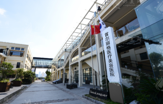 上海首爾麗格醫(yī)療美容醫(yī)院