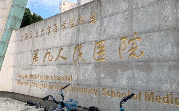上海九院整形價格表2024，隆鼻，隆胸，拉皮等費用查詢！