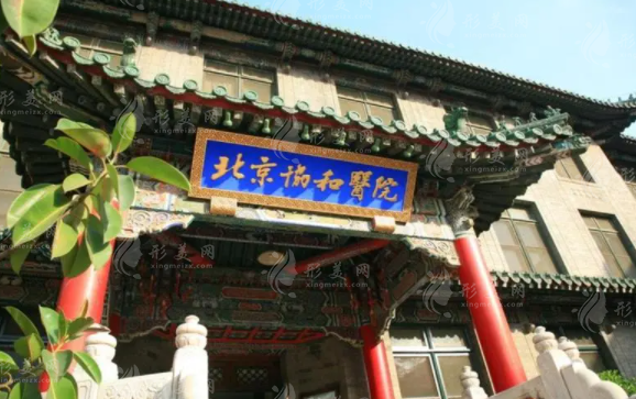 北京協(xié)和醫(yī)院植發(fā)