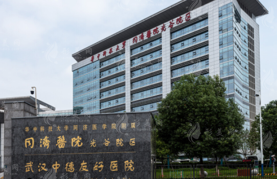 華中科技大學(xué)同濟(jì)醫(yī)學(xué)院附屬同濟(jì)醫(yī)院 華中科技大學(xué)同濟(jì)醫(yī)學(xué)院附屬同濟(jì)醫(yī)院