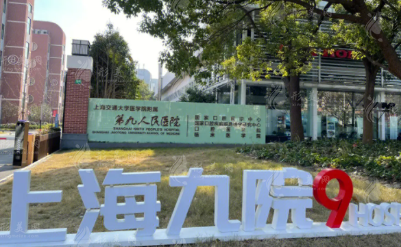 上海第九醫(yī)院整形價(jià)目表2024，醫(yī)生團(tuán)隊(duì)/項(xiàng)目?jī)r(jià)格大全