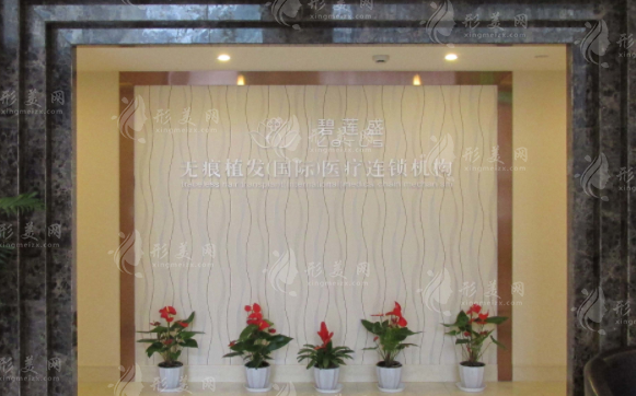 上海碧蓮盛植發(fā)醫(yī)院