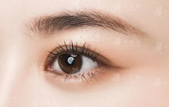 提眉術(shù)與切眉術(shù)：揭秘兩者的異同
