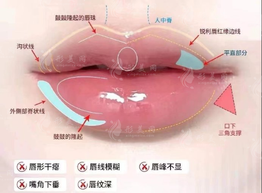 哪些人適合用嬌蘭打嘟嘟唇？