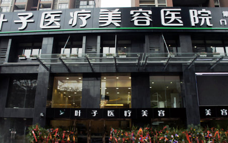 武漢葉子醫(yī)療美容醫(yī)院吸脂減肥整形價格表
