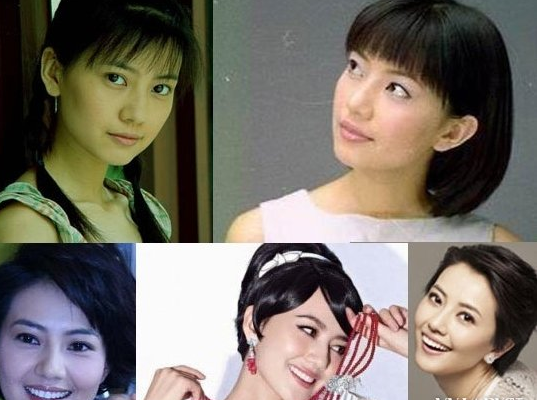 高圓圓整容過嗎 網友認為她越發(fā)美麗動人啦 - 珍美網