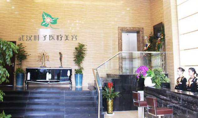 武漢葉子整形美容醫(yī)院價(jià)目一覽表