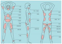 成都吸脂減肥效果比較好的整形美容醫(yī)院是哪家呢？